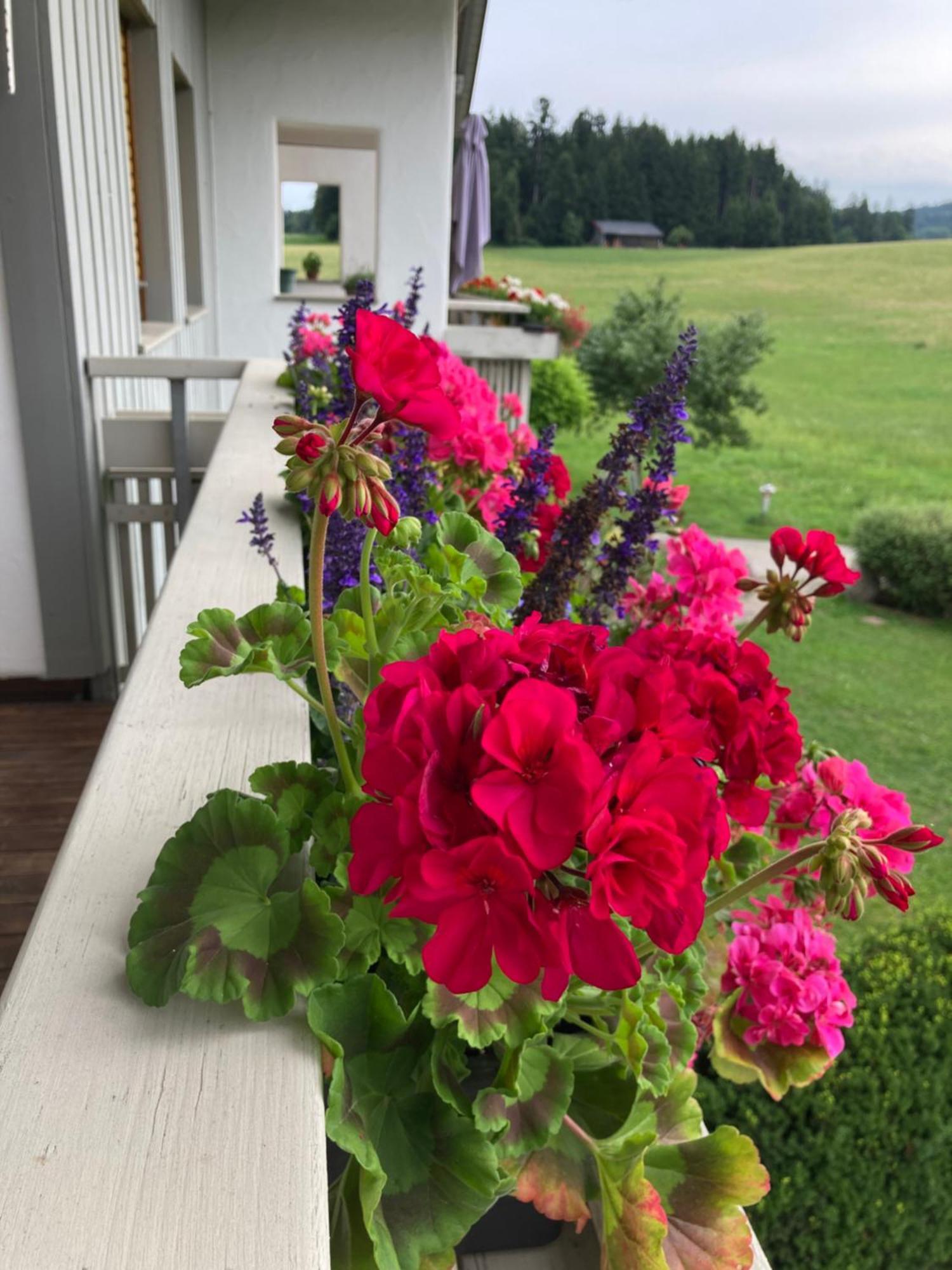 Ferienwohnungen Allgaeu-Bodensee Sigmarszell Exteriör bild